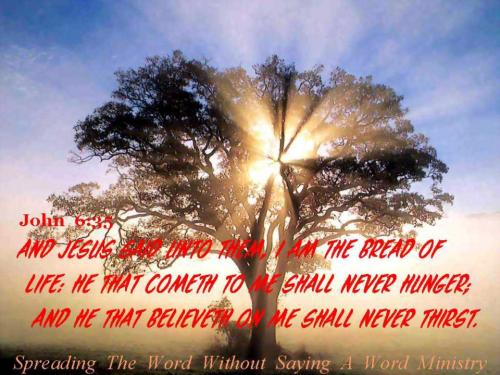 558945_394120117336792_1354613933_n