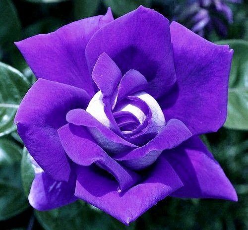 10:51:33 GMT-0600 (CST)