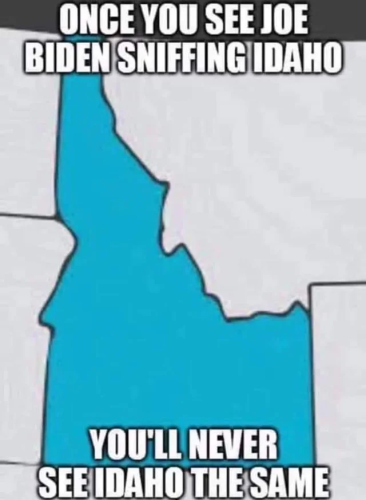 448garzpyh481