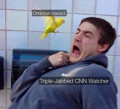 omicron_variant_vs_cnn_viewer