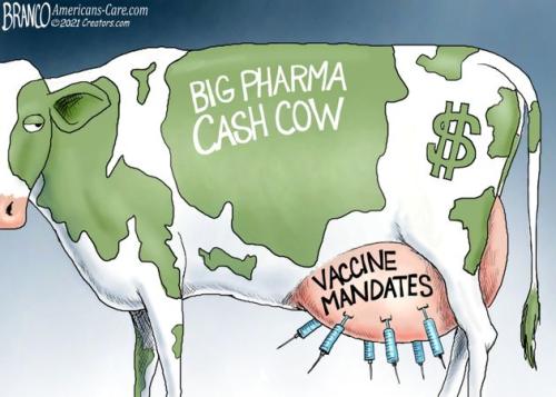 bigpharmacashcow