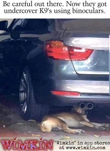 Screenshot_20220121-161635_Watermarkly