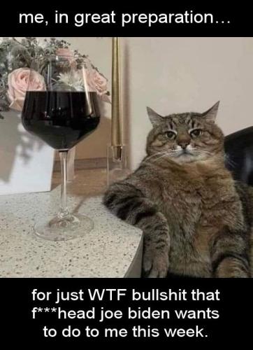 bullshit122