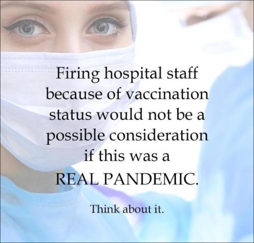 scamdemic46