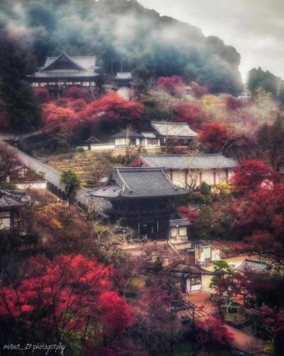 270247084_451376703371208_735667813357701520_n