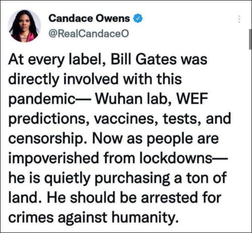 candace owens39