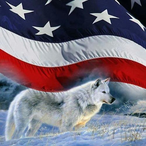 13:18:14 GMT-0600 (CST)