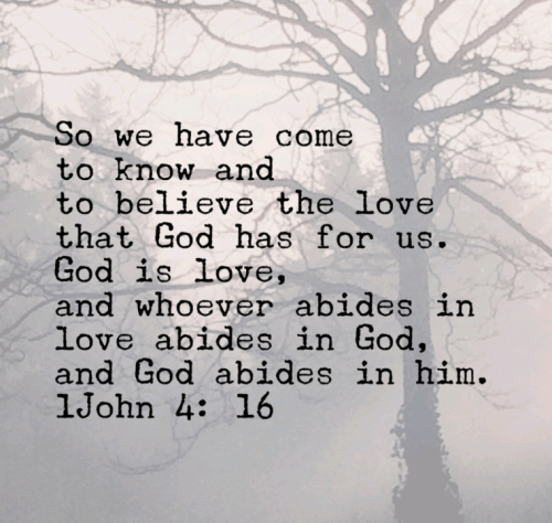 Screenshot_20211121-220359