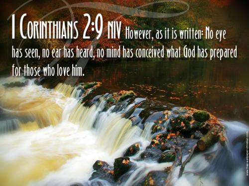 scripture527