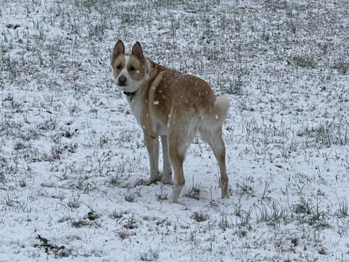 7E2A05D2-4B29-4D0E-8FDF-6565A5650460