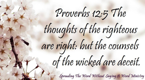 269713535_445099593772040_8130038639554737558_n