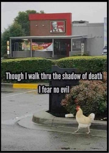 FB_IMG_1643126653848
