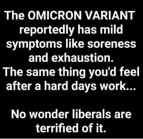 FB_IMG_1641812257531