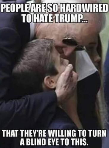 pedo joe11