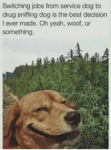 272111024_3099005423676067_2773353064750162004_n