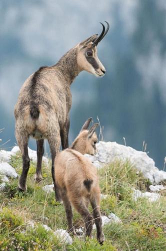 269862246_1741332492732760_7349253507893150731_n