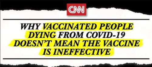 FB_IMG_1642608136800