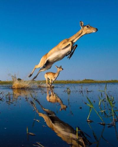 269601814_1740044436194899_8368484628499212250_n