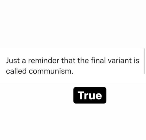 272836559_2199529243534106_4708237049842076281_n