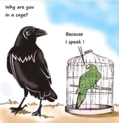 FB_IMG_1642959009658