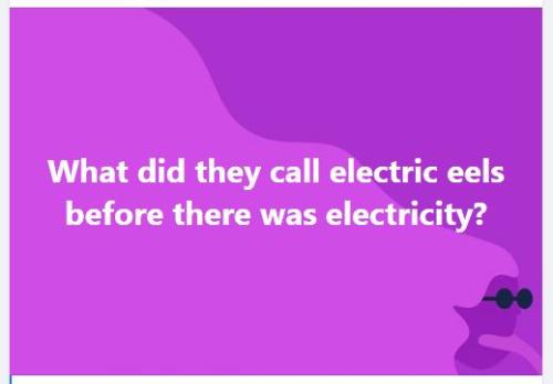 272084723_4885773834849176_6306878847049919883_n