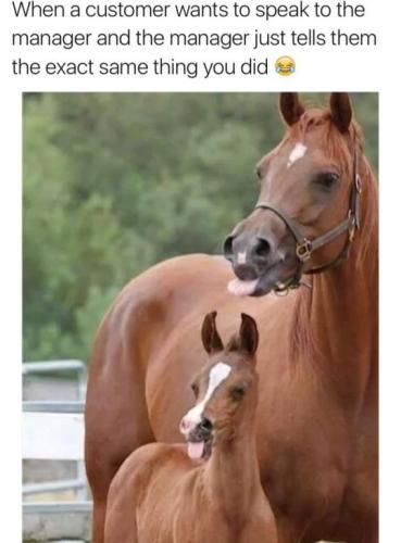 tumblr_od1a0zo5mM1r1mpi1o1_540