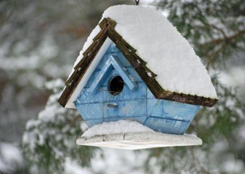 271128733_1329282714179300_7158023952364452213_n