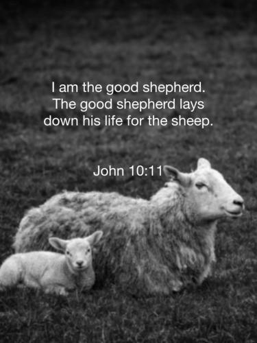 09:28:14 GMT-0500 (EST)