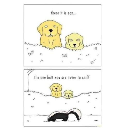 272122629_5097854160279762_3051053791360572876_n