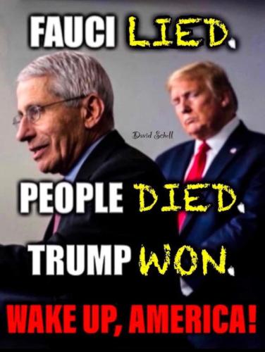 FB_IMG_1642841629794