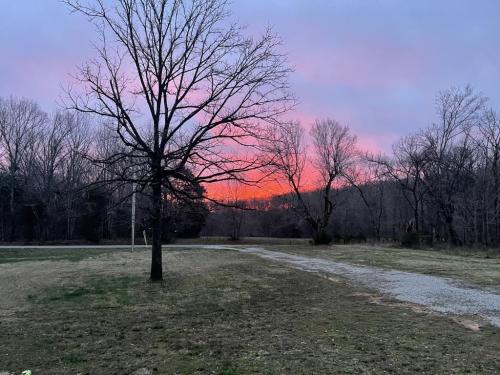 1444917B-2D31-4721-BD05-41AC154D0968