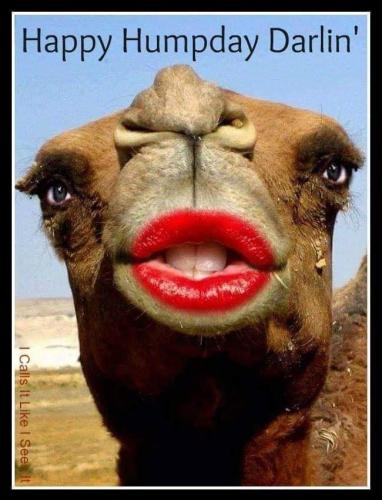 188375097_6209554909061956_1750255790256556931_n