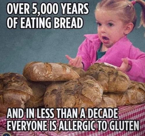 271916964_4613652862087659_8115493482373433799_n