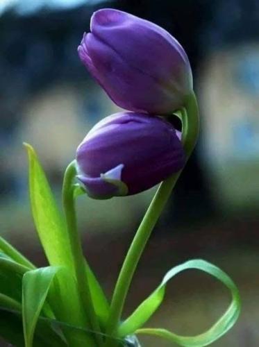 271750490_2737317093080213_1505965568231177472_n