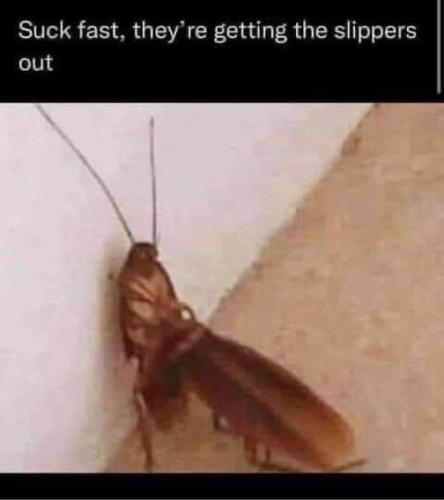 FB_IMG_1643323170441