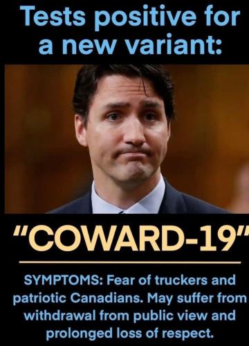 image_1643510255.652~2