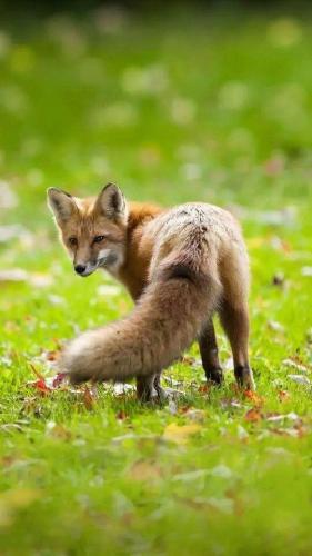 272615019_1751461035053239_2700724681195224361_n