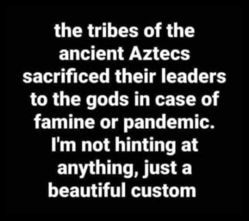 tumblr_a0192e9aa7581cddc2607d6eca628d3a_a8a81ca3_540