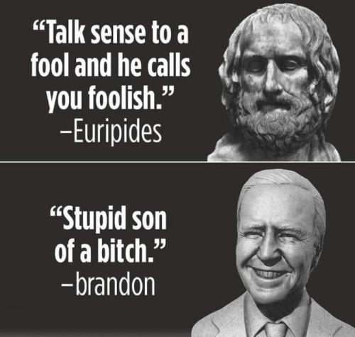 stupid son of a bitch02