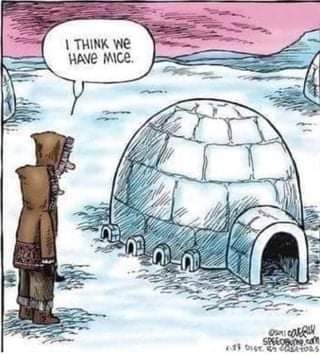 FB_IMG_1641070229090