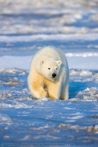 269974997_1740044346194908_243449997758627344_n