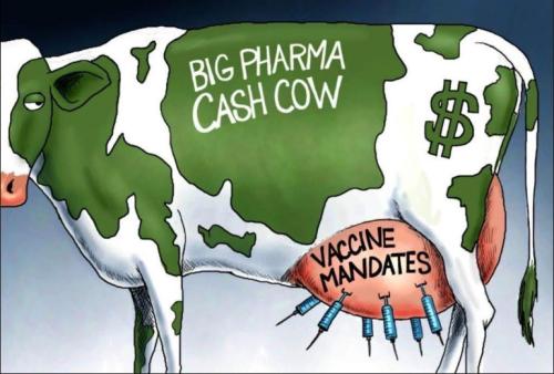 bigpharma63
