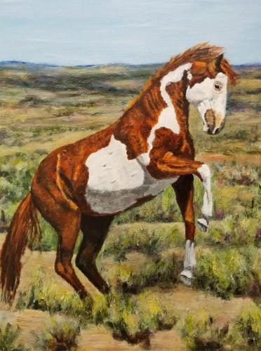 35526989_393956244446259_8817739077559255040_n