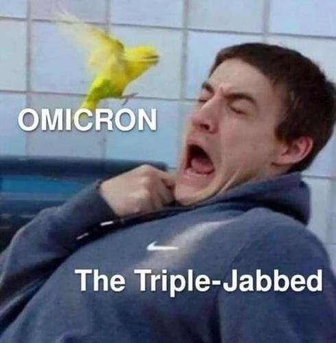 272121574_436683414803541_7858285094798853487_n