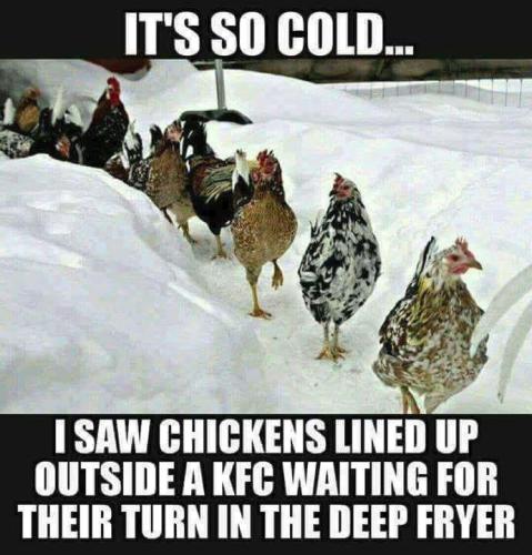 deep fryer