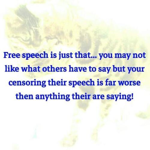 271812939_4121992344571172_4043230294372444024_n