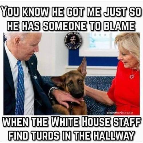 FB_IMG_1641532793843