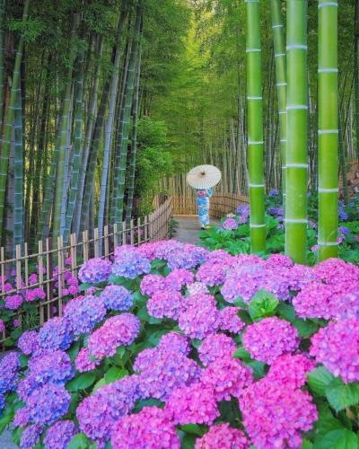 271711811_475498457279495_7446325627876308623_n