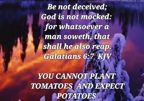 03:49:56 GMT-0800 (PST)