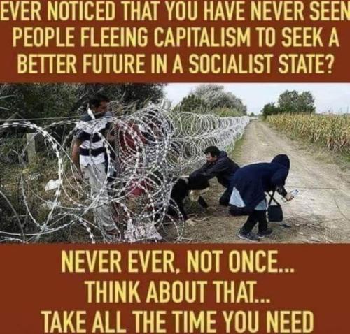illegal immigration267